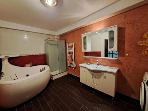 ein Badezimmer mit einer Badewanne, einem Waschbecken und einem Spiegel in der Unterkunft Magic Garden - Pool, Events, Free Parking in Tărtăşeşti