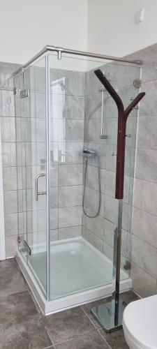 Vannituba majutusasutuses Apartmán A7 u Jeníčka v Chomutově