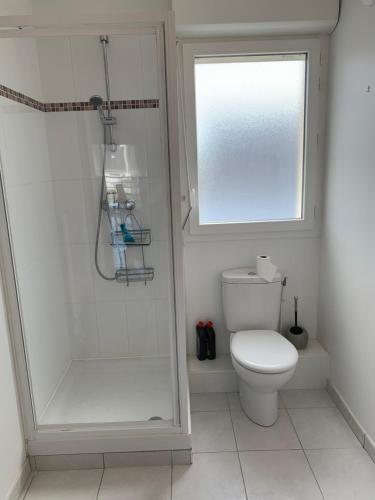 La salle de bains est pourvue de toilettes, d'une douche et d'une fenêtre. dans l'établissement Agréable appartement à 200 m de la plage - NAEL, à Ploemeur