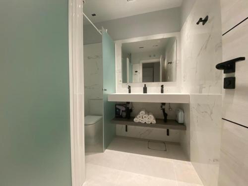 レオンにあるHOSTEL ALEAのバスルーム(洗面台、トイレ、鏡付)