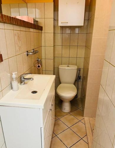 une petite salle de bain avec toilettes et lavabo dans l'établissement Varavilla, Très jolie 2P proche Monaco, à Roquebrune-Cap-Martin