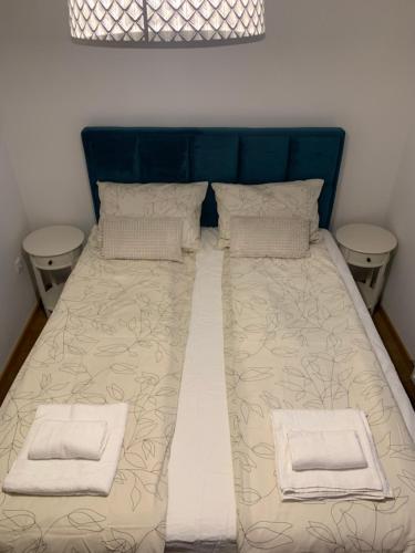 Bett mit blauem Kopfteil und 2 Kissen in der Unterkunft Mila Apartment sajam in Novi Sad