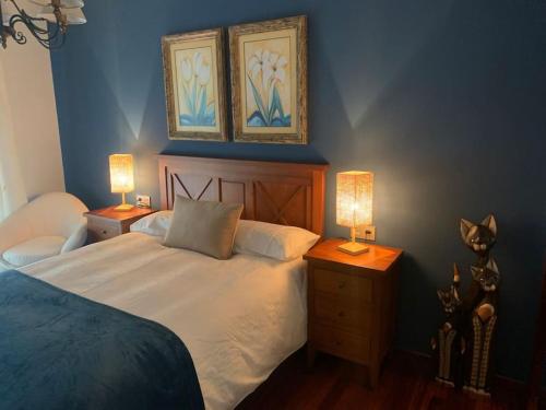 1 dormitorio con 1 cama y 2 lámparas en las mesas en Piso de la pala, en Pontevedra