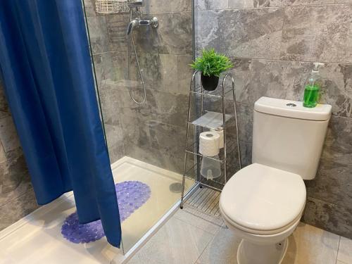 a bathroom with a toilet and a shower with a plant at CHARLES INN in Liverpool
