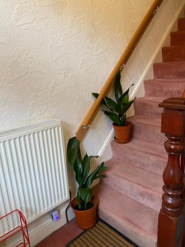 CHARLES INN photo 25