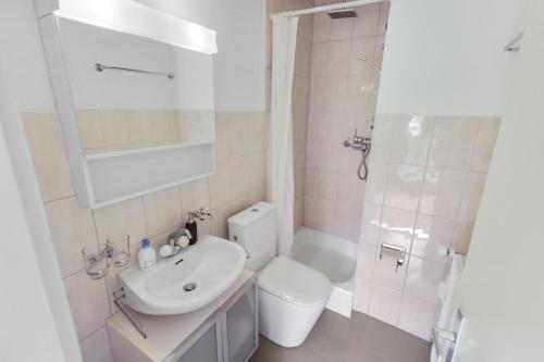 ein Bad mit einem Waschbecken, einem WC und einer Dusche in der Unterkunft Studio élégant au coeur de Crans in Crans-Montana