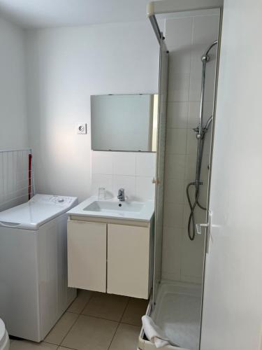 La salle de bains est pourvue d'un lavabo et d'une douche. dans l'établissement Esperanto, à Cannes