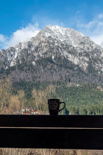 a coffee cup sitting on a window sill in front of a mountain at Cross Caraiman View 2 in Buşteni