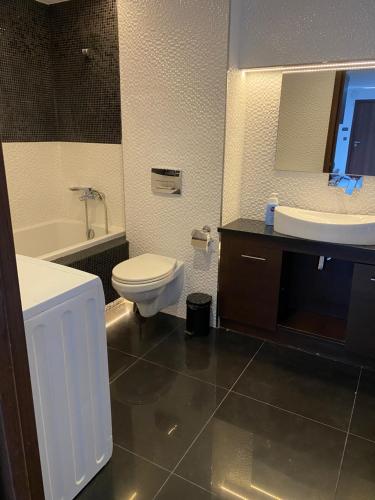 a bathroom with a toilet and a sink and a mirror at Aparthotel Łódź 55 Piotrkowska in Łódź
