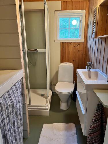 a bathroom with a toilet and a shower and a sink at River view in Hovet