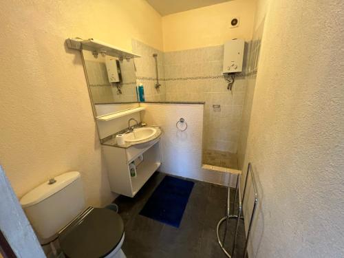 een kleine badkamer met een toilet en een wastafel bij Studio proche centre ville Papeete in Papeete