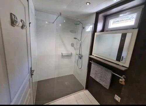 uma casa de banho com um chuveiro com um espelho e uma televisão em La julina em Saint-Hilaire-sur-Yerre