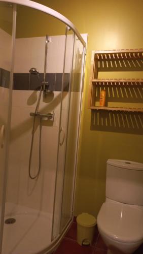 bagno con doccia e servizi igienici. di Oh P'tit Rapporteur a Montcuq