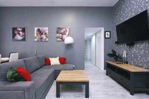 Μια τηλεόραση ή/και κέντρο ψυχαγωγίας στο Apartament przy Palmiarni