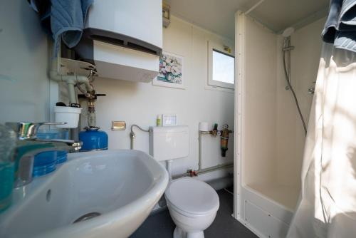 Bathroom sa The Shepherd's Shed at Accott Manor