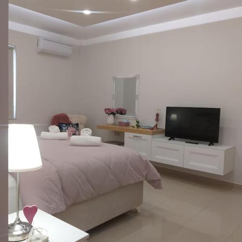 Luxury apartment in the heart of the city