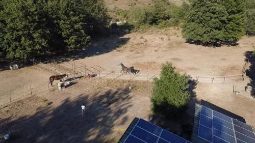 In Campagna – Photos 2