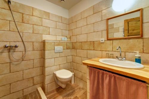 a bathroom with a sink and a toilet and a mirror at Slezský Grunt in Háj ve Slezsku