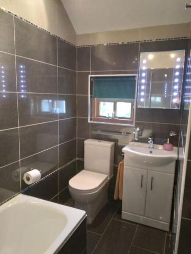 a bathroom with a toilet and a sink at Ballywee guest house in Parkgate