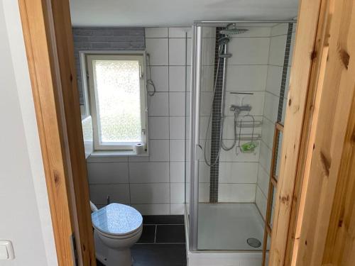 a small bathroom with a toilet and a shower at Bungalow im Grünen in Werneuchen