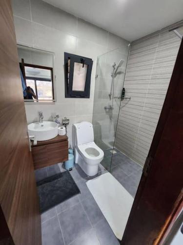 a bathroom with a toilet and a sink and a shower at Elegant 1 bedroom apartment at Aquaview in Bathurst