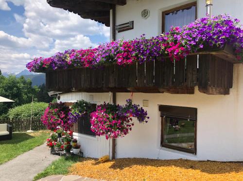 a building with purple and pink flowers on a balcony at Landhaus Alpenblick in Obsteig