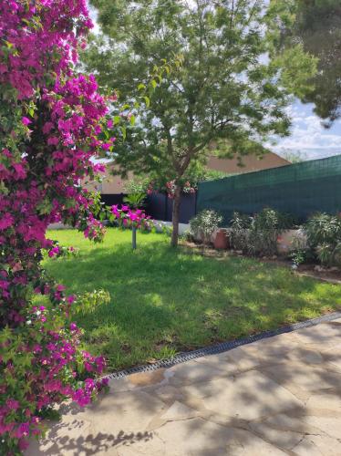 a garden with pink flowers and a tree at T2 aperçu mer à Janas complètement renové in La Seyne-sur-Mer