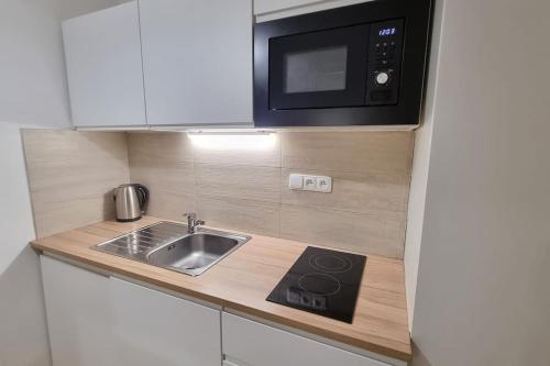 a small kitchen with a sink and a microwave at Finnem Rentals Kyjevská in Prague
