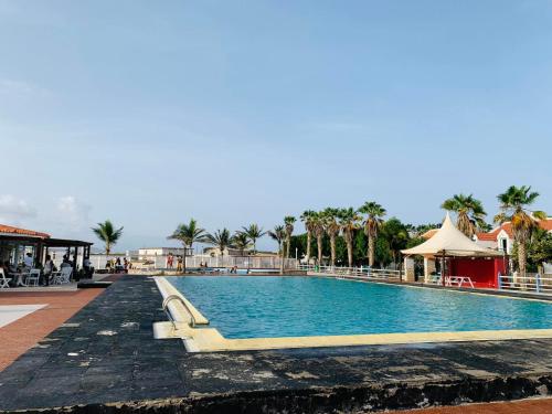 uma piscina num resort com palmeiras em Casa Mar e Sol - Murdeira - Ilha do Sal em Palha Verde