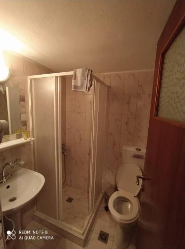a bathroom with a shower and a toilet and a sink at Dimitropoulos Apartments in Eleonas