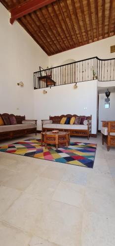Ouled Yaneg的住宿－Beit El Ezz - la grande，带沙发和地毯的客厅