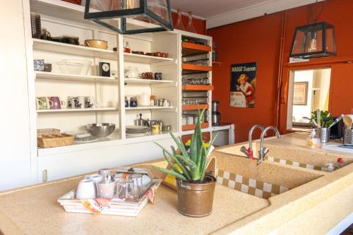 a kitchen with a sink and a counter top at de Staelduinhoeve in 's-Gravenzande