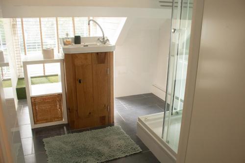 a bathroom with a sink and a shower at de Staelduinhoeve in s-Gravenzande