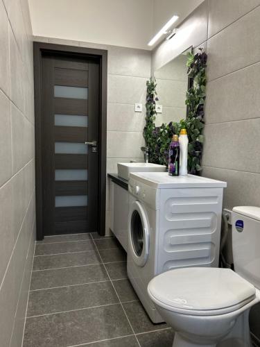 a bathroom with a washing machine next to a toilet at Sophie’s Urban Nest in Miskolc