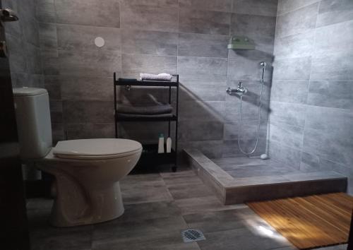 La salle de bains est pourvue d'une douche et de toilettes. dans l'établissement Άνετη κατοικία με κήπο, à Kastoria