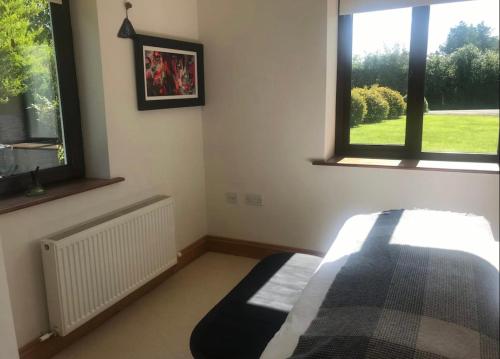 a bedroom with a bed and two windows at Evenly Balanced in Killarney