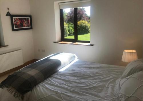 a bedroom with a bed with a window and a bedspread at Evenly Balanced in Killarney