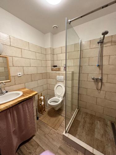 a bathroom with a toilet and a sink and a shower at Slezský Grunt in Háj ve Slezsku