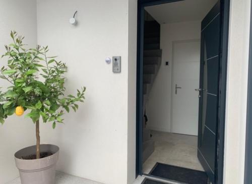 une plante dans un pot à côté d'une porte dans l'établissement Maison terrasse proche centre ville et ile de Ré, à La Rochelle