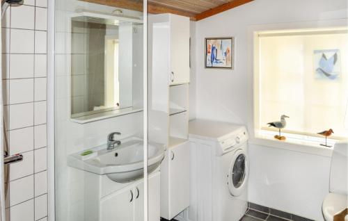 ÅlbækにあるPet Friendly Home In lbk With Wifiの白いバスルーム(シンク、洗濯機付)