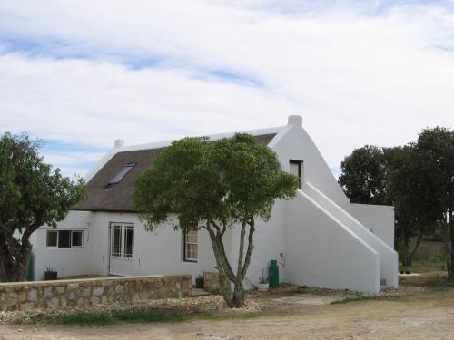 a white house with a tree in front of it at De Mond Farm Cottage - Vogelgezang Farm (near Arniston) in Bredasdorp