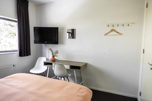 a bedroom with a bed and a desk and a tv at Avellano in Helmond