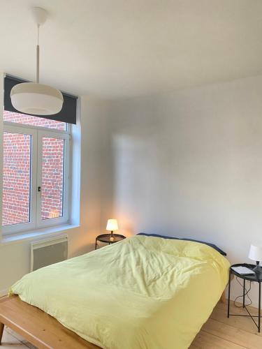1 dormitorio con cama y ventana en T3 lumineux en plein coeur de Moulins, en Lille