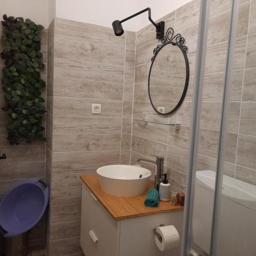 a bathroom with a sink and a mirror at Apartman Pelargo in Poljana