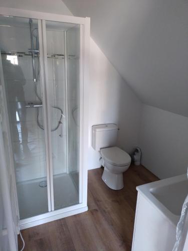 une salle de bain avec toilettes et douche en verre dans l'établissement A la campagne, au calme, à Montérolier