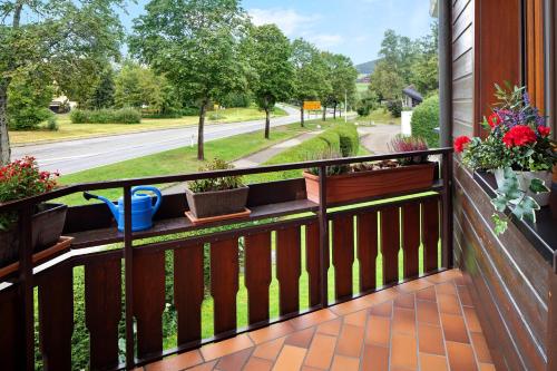 a balcony with potted plants and a view of a street at Oskar im Bärenhüsli in Titisee-Neustadt