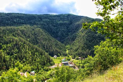 a view of a valley with trees at Solo Grand Boshuri Hotel Wellness Resort in Qvemo Boshuri