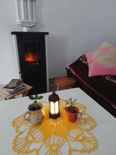 uma sala com uma mesa com uma vela e plantas sobre ela em Apartman Rajac em Takovo