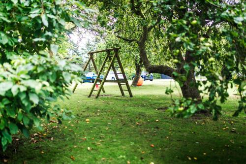 a swing set in a park with a tree at Pension Schwalbenhof in Klausdorf Mecklenburg Vorpommern