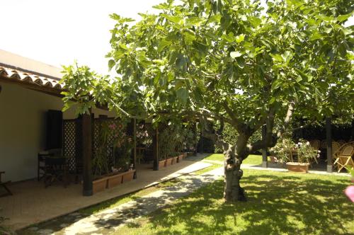 Gallery image of Villa Sangineto Resort in Sangineto